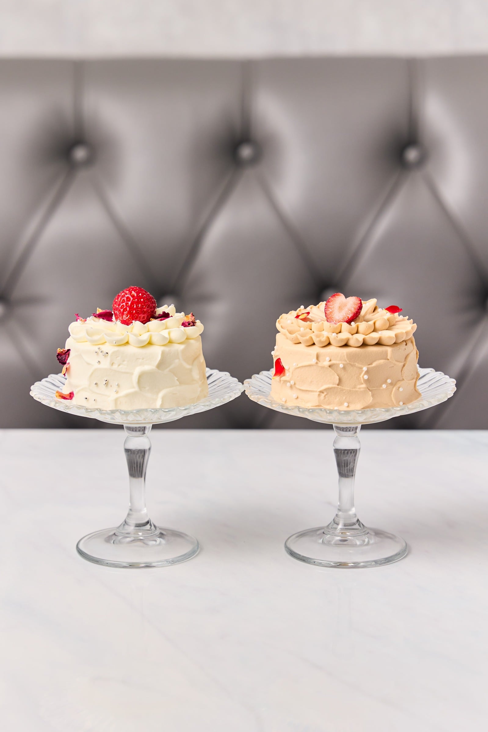 🎂ShortCakeCompany 公式HP